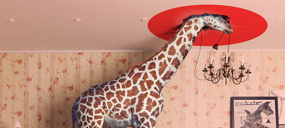 On s'adapte à tous les profils et tous les styles