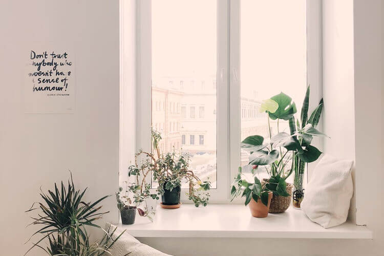 L'assurance habitation pour les étudiants en colocation - Heyme